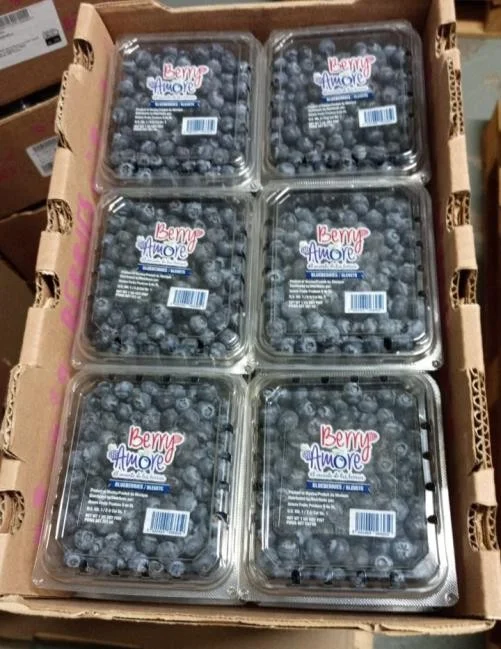 Caja de clamshells de arándano Berry Amore