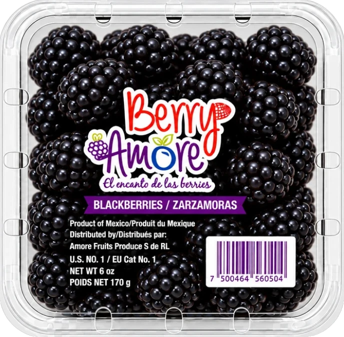 Clamshell de zarzamoras Berry Amore de 6 oz