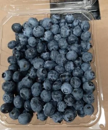 Arándanos Berry Amore en su clamshell